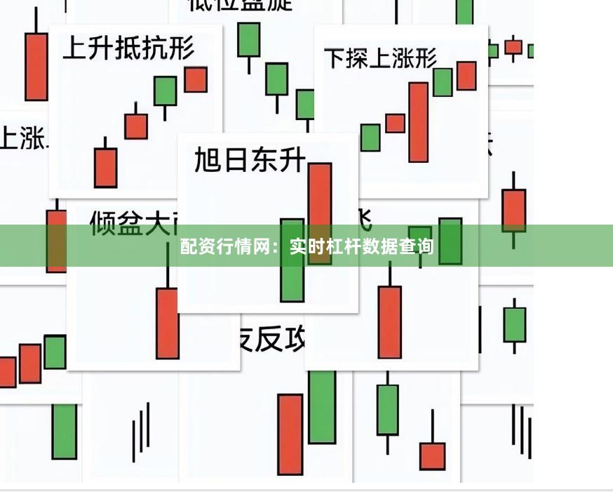 配资行情网：实时杠杆数据查询